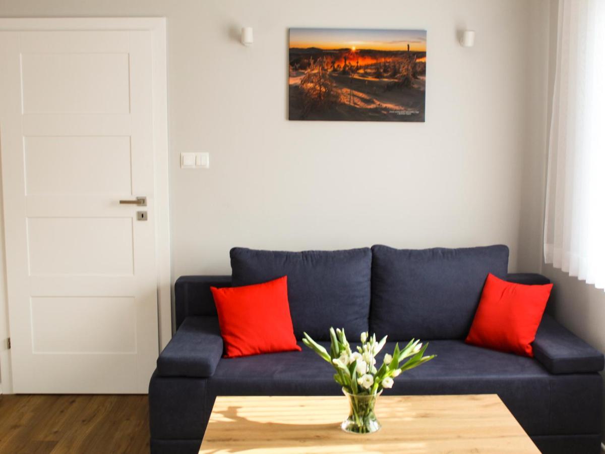 Apartamenty Szarotka Висла Экстерьер фото